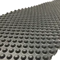 Noppenbaan 2.50 x 20m zwart