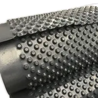 Noppenbaan 2.50 x 20m zwart