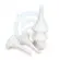 spray tuit - inner nozzle sam3 spraygun